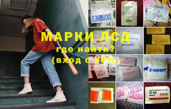 каннабис Аркадак